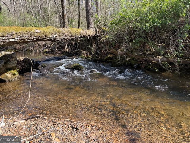 1162 Blacks Creek Drive, Clayton, GA 30525