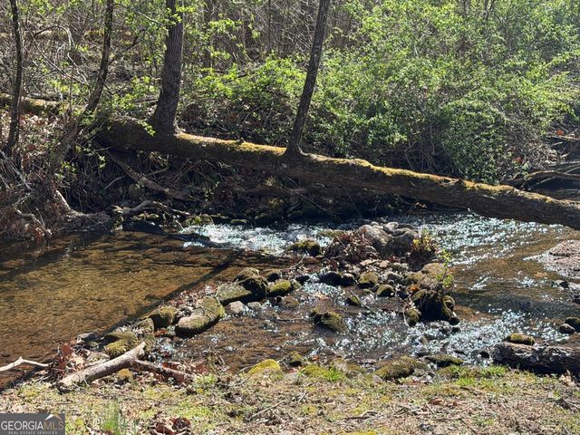 1162 Blacks Creek Drive, Clayton, GA 30525