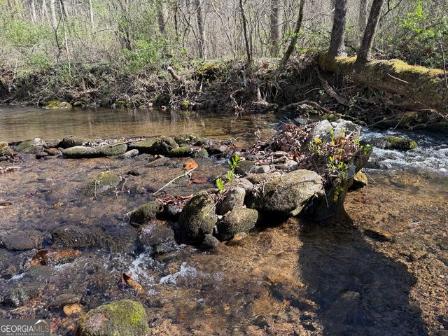 1162 Blacks Creek Drive, Clayton, GA 30525