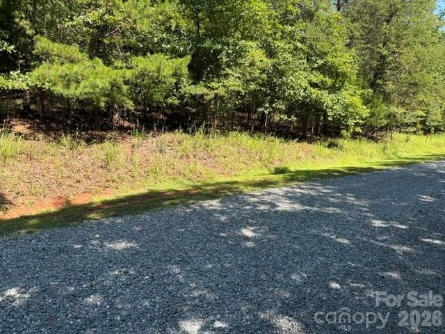 00 Elliott Drive 51, Rutherfordton, NC 28139