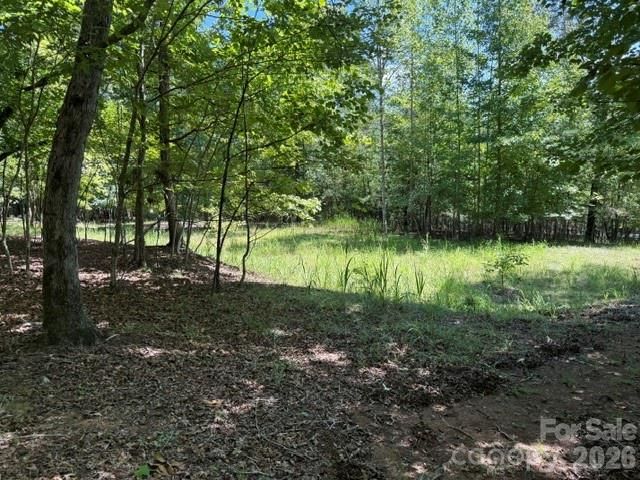 00 Elliott Drive 51, Rutherfordton, NC 28139