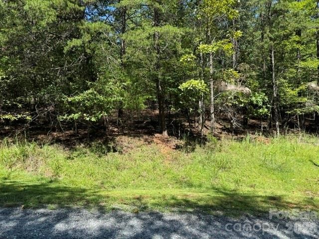 00 Elliott Drive 51, Rutherfordton, NC 28139