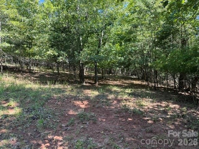 00 Elliott Drive 51, Rutherfordton, NC 28139