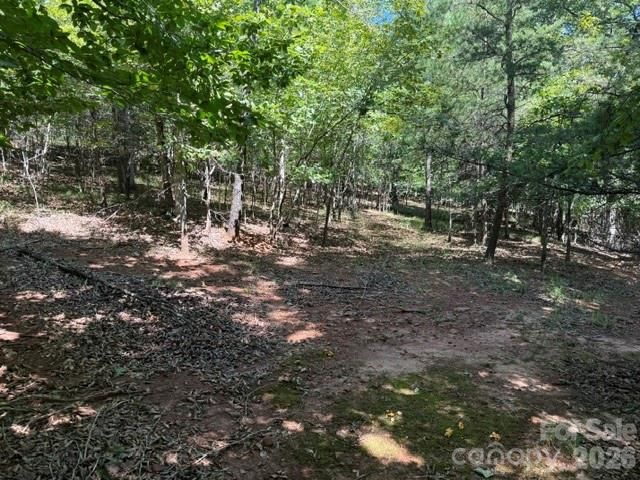 00 Elliott Drive 51, Rutherfordton, NC 28139