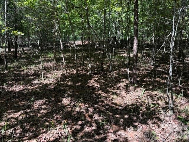 00 Elliott Drive 51, Rutherfordton, NC 28139