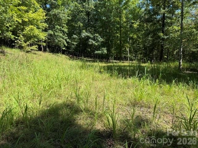 00 Elliott Drive 51, Rutherfordton, NC 28139