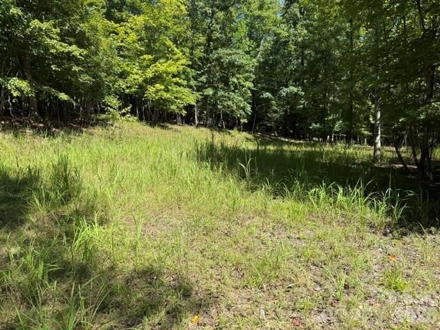 00 Elliott Drive 51, Rutherfordton, NC 28139