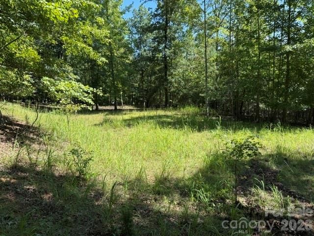 00 Elliott Drive 51, Rutherfordton, NC 28139