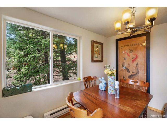 501 Wakanda Trl, Woodland Park, CO 80863