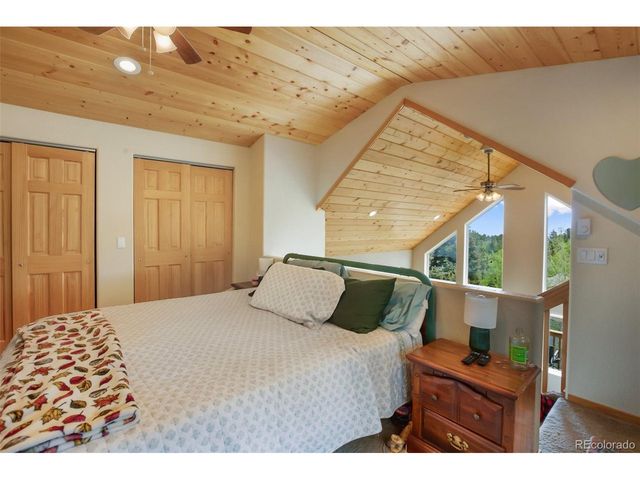 501 Wakanda Trl, Woodland Park, CO 80863