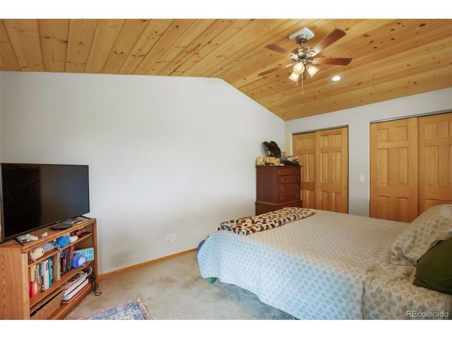 501 Wakanda Trl, Woodland Park, CO 80863