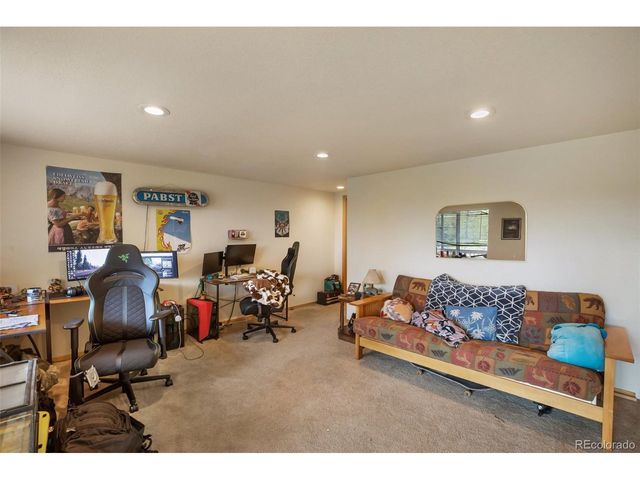 501 Wakanda Trl, Woodland Park, CO 80863