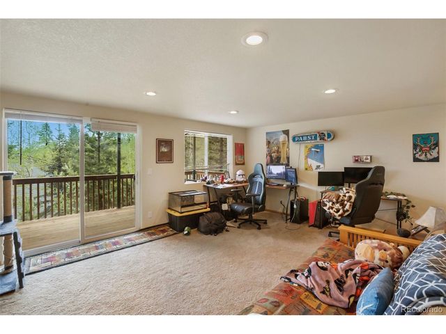 501 Wakanda Trl, Woodland Park, CO 80863