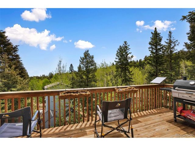 501 Wakanda Trl, Woodland Park, CO 80863