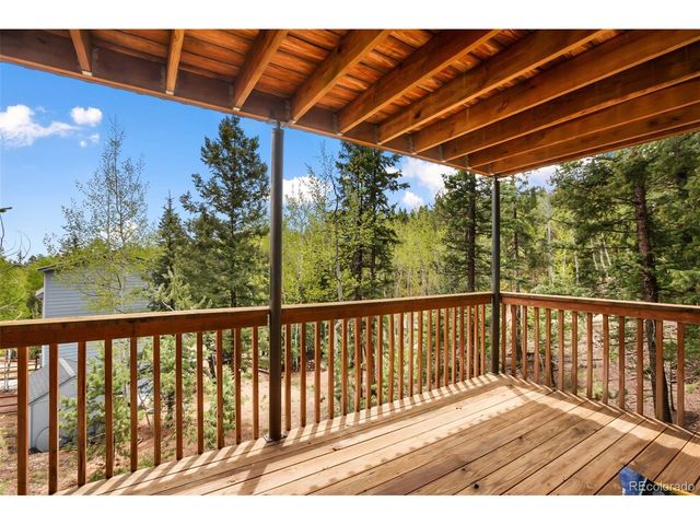 501 Wakanda Trl, Woodland Park, CO 80863