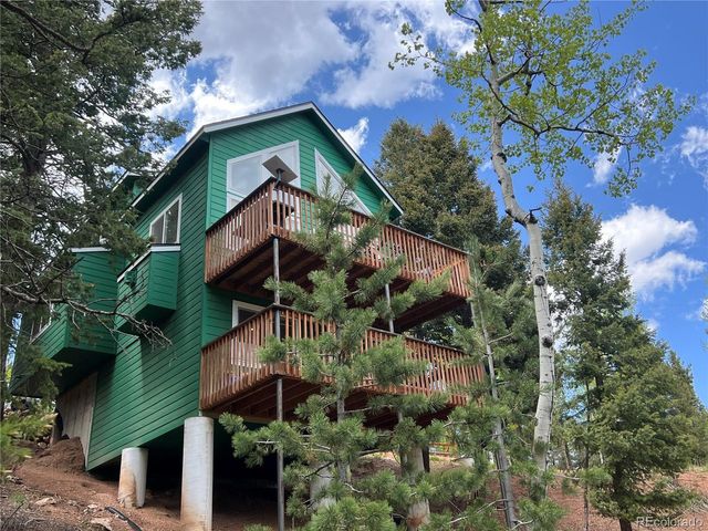 501 Wakanda Trl, Woodland Park, CO 80863