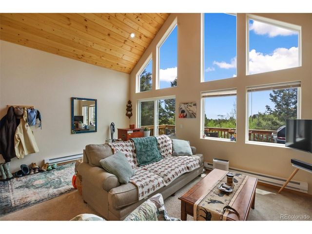 501 Wakanda Trl, Woodland Park, CO 80863