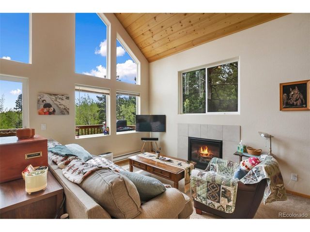 501 Wakanda Trl, Woodland Park, CO 80863