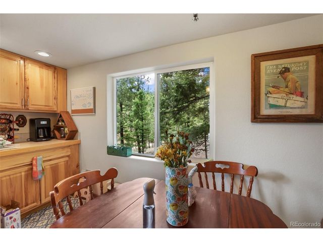501 Wakanda Trl, Woodland Park, CO 80863