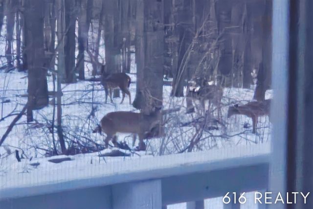 7358 Willow Wood Drive, Belmont, MI 49306