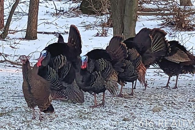 7358 Willow Wood Drive, Belmont, MI 49306