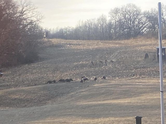 8580 Roelke Road, Blue Mounds, MT 53517