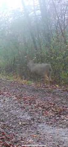 8580 Roelke Road, Blue Mounds, MT 53517