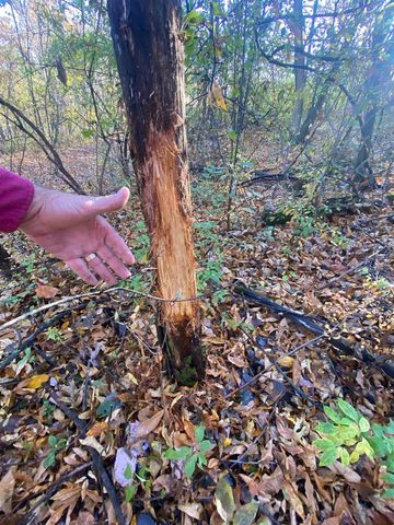 8580 Roelke Road, Blue Mounds, MT 53517