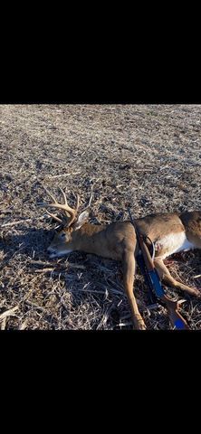 8580 Roelke Road, Blue Mounds, MT 53517