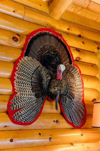 8580 Roelke Road, Blue Mounds, MT 53517