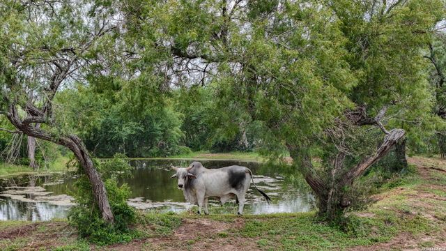 1588 Fm 1470, Poteet, TX 78065