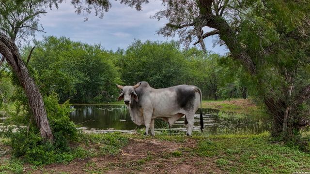 1588 Fm 1470, Poteet, TX 78065