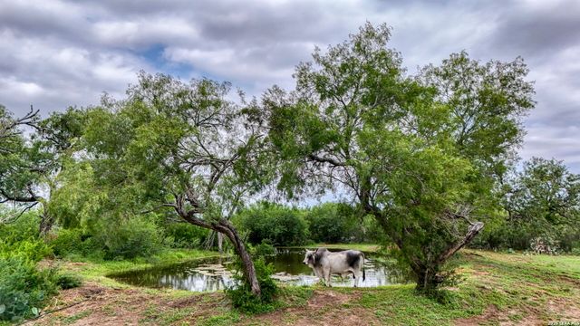 1588 Fm 1470, Poteet, TX 78065