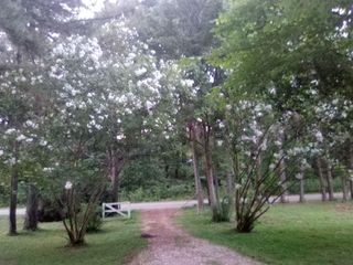 7980 PLEASANT RIDGE RD, Arlington, TN 38002