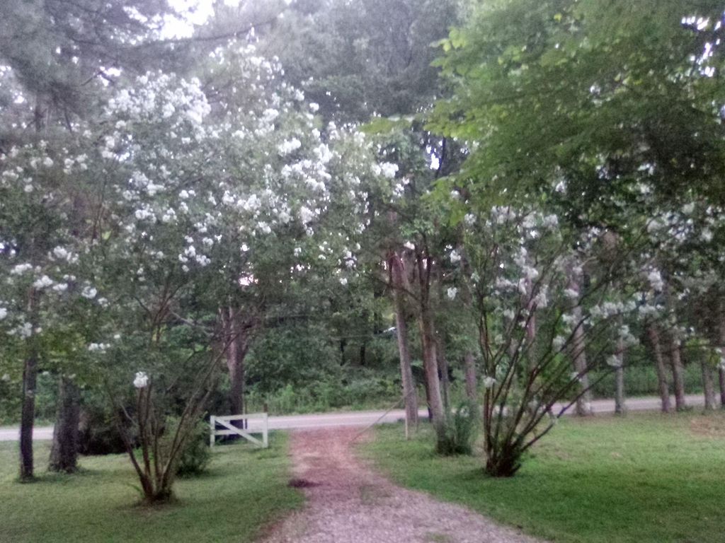 7980 PLEASANT RIDGE RD, Arlington, TN 38002