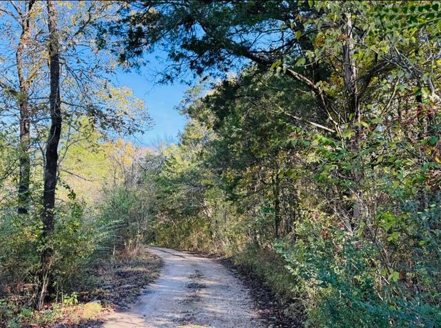 52 Trenidy Lane, Reeds Spring, MO 65737