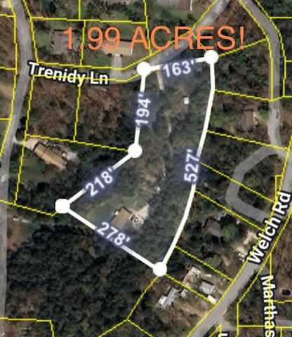 52 Trenidy Lane, Reeds Spring, MO 65737