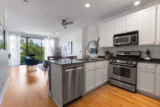 859 W Erie Street 408, Chicago, IL 60642