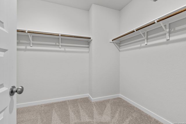 2331 Crisp Gln, San Antonio, TX 78224