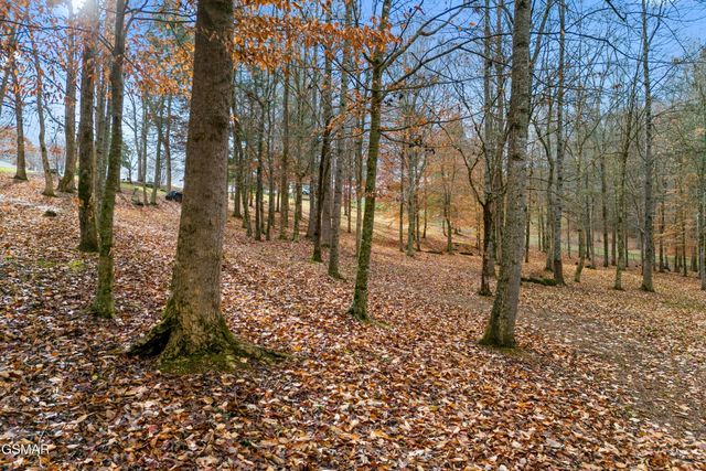 291 Weeping Cherry Way, Newport, TN 37821