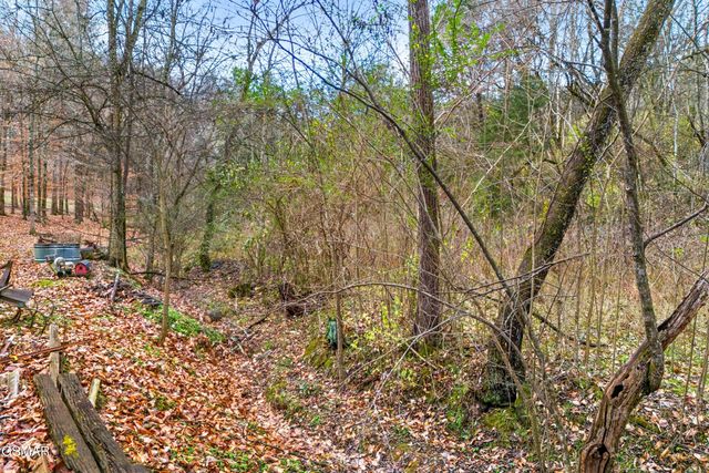 291 Weeping Cherry Way, Newport, TN 37821