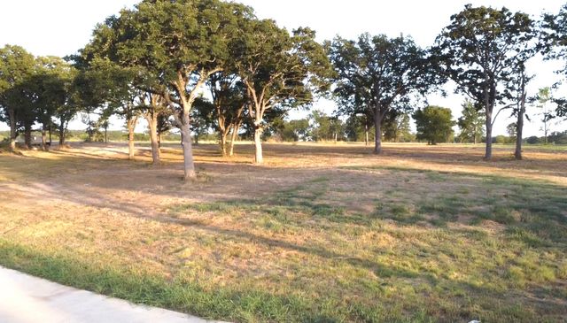 308 Caro Drive, West Tawakoni, TX 75474