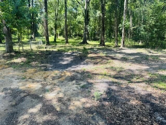 11898 SW 36TH WAY, Webster, FL 33597