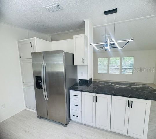 11898 SW 36TH WAY, Webster, FL 33597