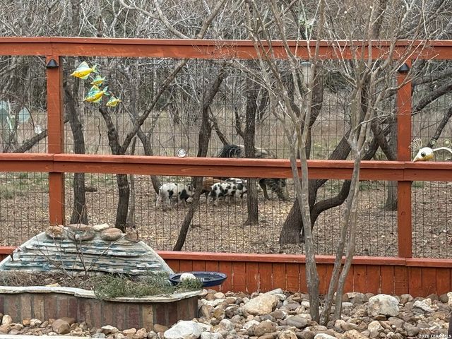 7706 Heavenly Arbor, San Antonio, TX 78254