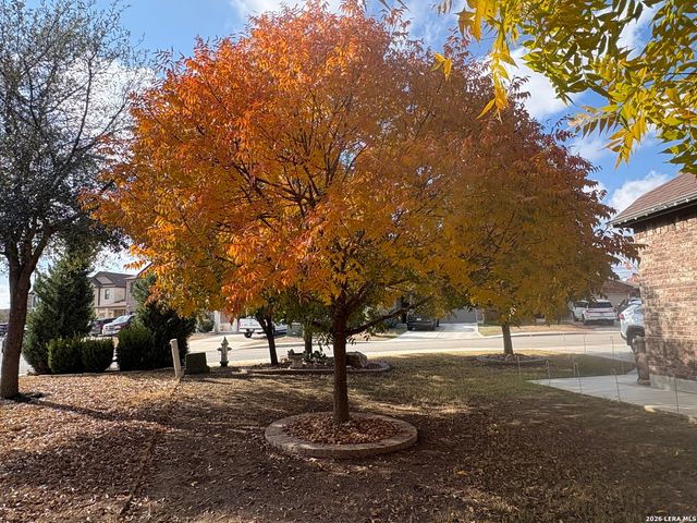 7706 Heavenly Arbor, San Antonio, TX 78254