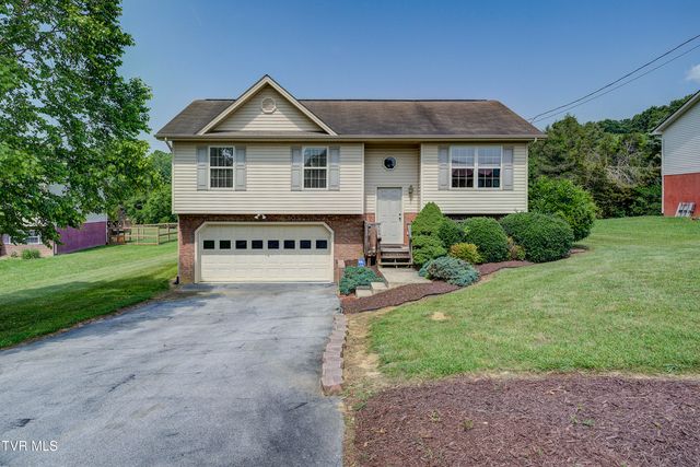 185 Thelma Hannabas Lane, Jonesborough, TN 37659