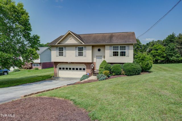 185 Thelma Hannabas Lane, Jonesborough, TN 37659