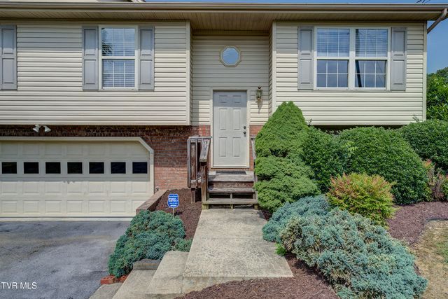 185 Thelma Hannabas Lane, Jonesborough, TN 37659