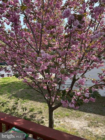 3 BAY VISTA DR, Berlin, MD 21811